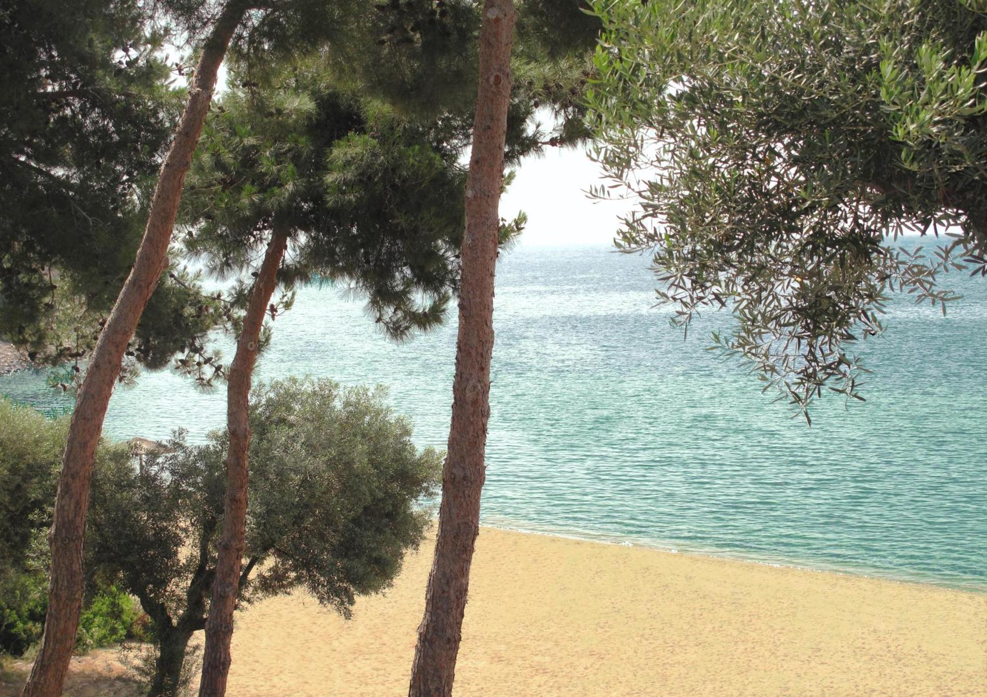 Trikorfo Beach Gerakini Exterior photo
