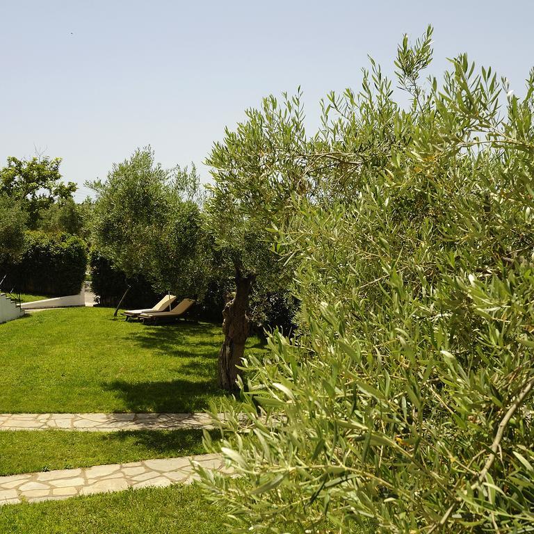 Trikorfo Beach Gerakini Exterior photo